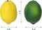 24-Pack Artificial Lemons with 12 Faux Lemon Leaves – Lifelike Faux Fruit Décor for Kitchen, Table, Cabinets, Parties, Photography Props, and Home Decoration